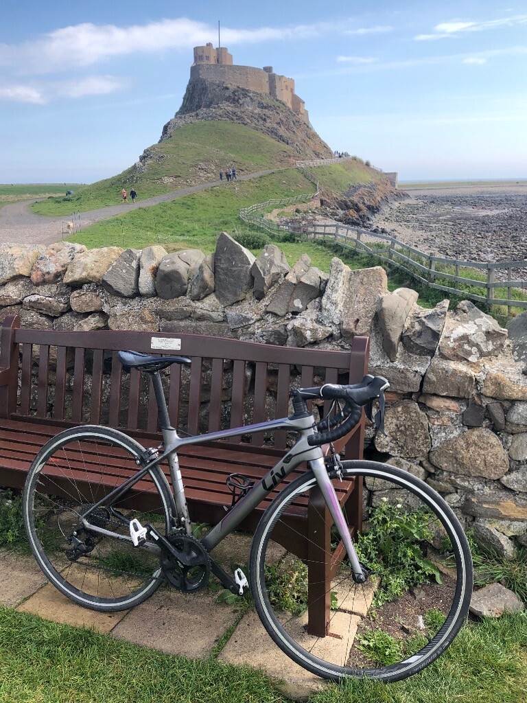 langma advanced 2 2018